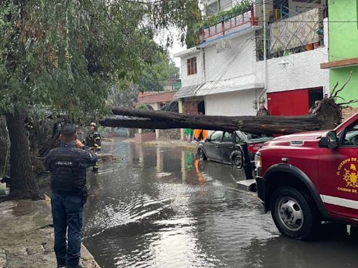 ¡Desastres naturales! Llueve fuerte en norponiente y causa grandes daños