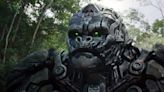 ‘Transformers: Rise of the Beasts’ Leads a Sunny Summer Box Office Weekend