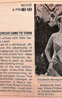 When the Circus Came to Town