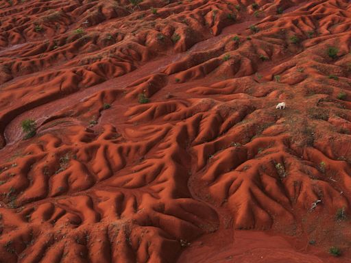 Cerrado já está mais quente e seco devido ao desmatamento | Cerrado loteado, ...do desmatamento no berço das águas do Brasil - mundo - Folha de S.Paulo - Ambiente...