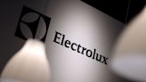 Electrolux says costs cuts on track at North America plants