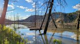 Chilcotin River rises 20 feet overnight upstream of landslide