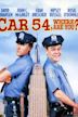 Car 54, Where Are You? (film)