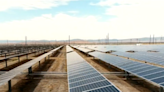 Amid record heat, solar farms help ease the strain on U.S. power grids