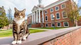 虎斑貓成校園團寵、還有貼身保鑣 佛蒙特州立大學授榮譽學位