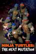 Las Tortugas Ninja: Next Mutation