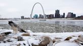 St. Louis sues Hyundai, Kia over car thefts, joining other US cities