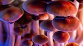 History of Psychedelic Use