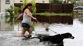 Want to know what areas are flooding in Tampa Bay? Here’s where to look.