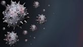 Cómo el virus de la gripe penetra las células y las infecta