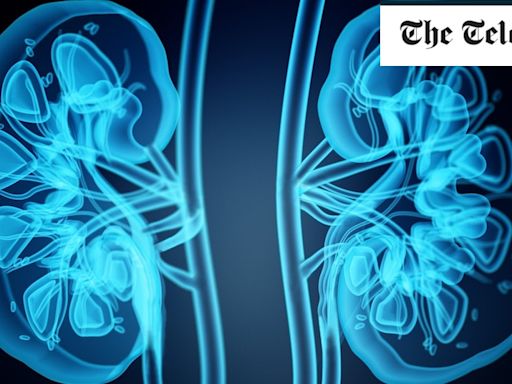 Kidney disease: How to protect yourself and the symptoms the NHS may not spot