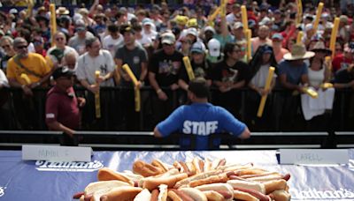 It's National Hot Dog Day! Here's how to cook a 'perfect' hot dog.