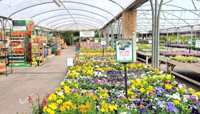 Woodthorpe Garden Centre near Alford voted best in Lincolnshire by our readers