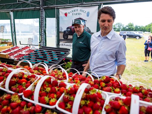 Erstaunliches über Erdbeeren: Superfrucht und Tennis-Accessoire