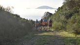 Algeciras se prepara para la I Estal Trail de montaña