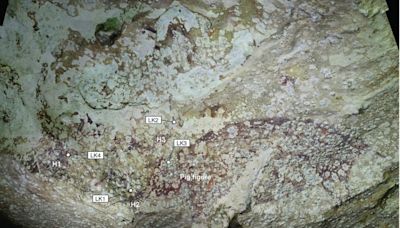 World’s Oldest Known Cave Painting, Featuring a Mysterious Pig, Found in Indonesia