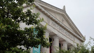 Shedd Aquarium employees launch union drive