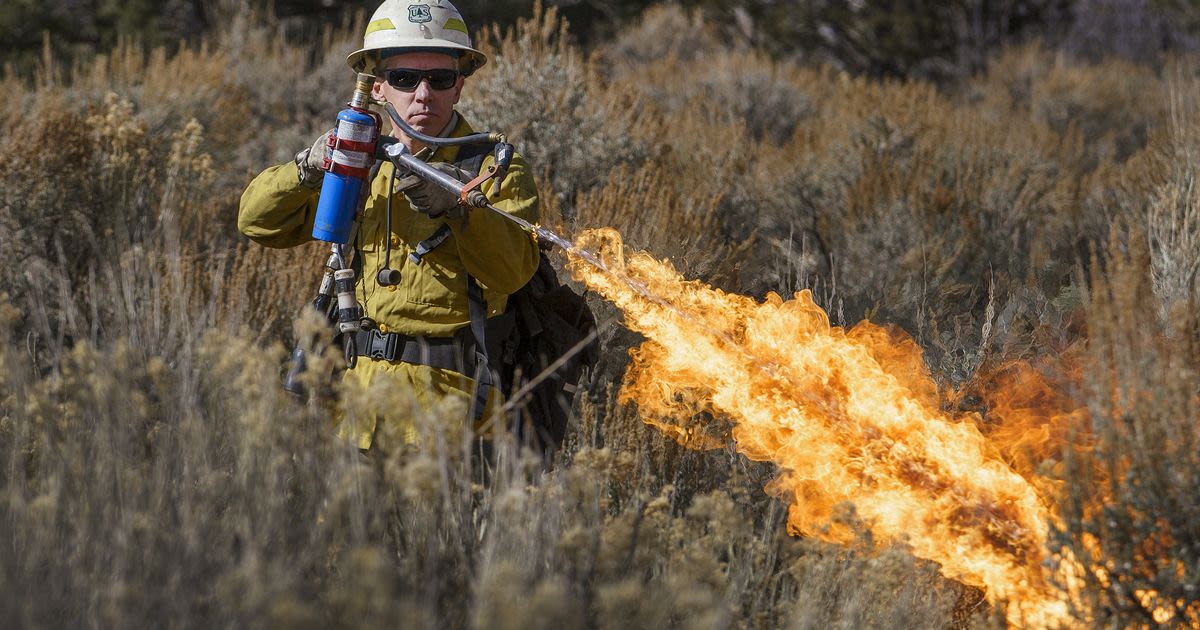 How high is wildfire risk in Utah this summer?