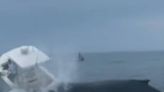 Baleia vira embarcação e derruba dois homens no mar