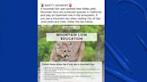 Another mountain lion sighting reported in San Jose