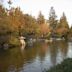 Japanese Friendship Garden (San Jose)