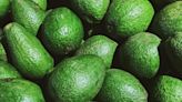 Los aguacates podrían desaparecer debido al cambio climático, informan científicos