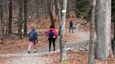 Tradition of hiking in the new year reaches all 50 US states