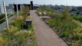 Scientists create spongy city roofs that can soak up rainwater to help curb flooding: 'Applicable to many urban areas around the world'