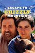 Escape to Grizzly Mountain