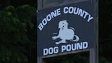 Boone Co. Commission, volunteers discuss potential location move for Boone Co. Dog Pound