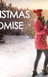 The Christmas Promise