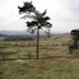 Longshaw Estate