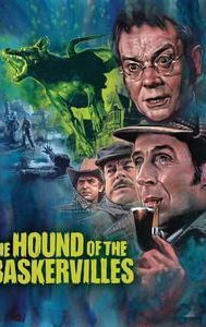 The Hound of the Baskervilles (1983 film)