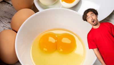 ¿Qué significa que un huevo tenga dos yemas?