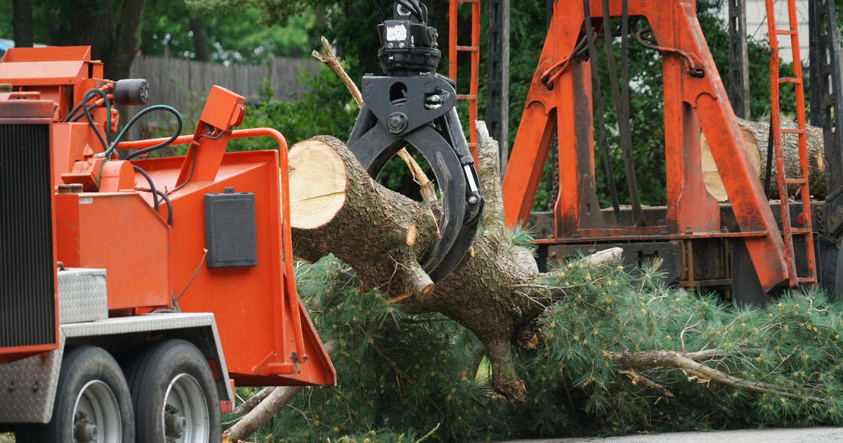 Michigan AG sues tree service companies for alleged price gouging after severe weather