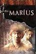 Marius