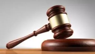 Maharashtra: Gondia court sentences man to life imprisonment for uncle’s murder