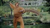 Beverly Hills Ninja Streaming: Watch & Stream Online via Netflix