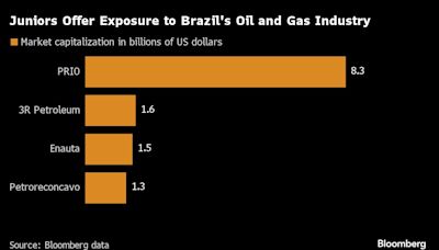 Brazil’s Oil Juniors Hunt for Mergers After Shift at Petrobras