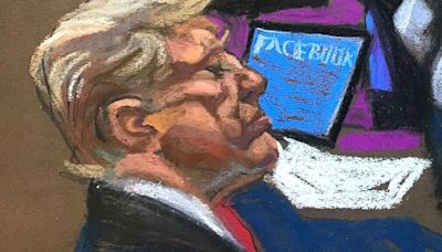 Courtroom Sketch Artist Enjoys Drawing 1 Particular Element In Trump Trial