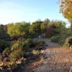 San Luis Obispo Botanical Garden