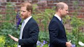 La sintonía rota de Harry y William, 25 años tras la muerte de su madre