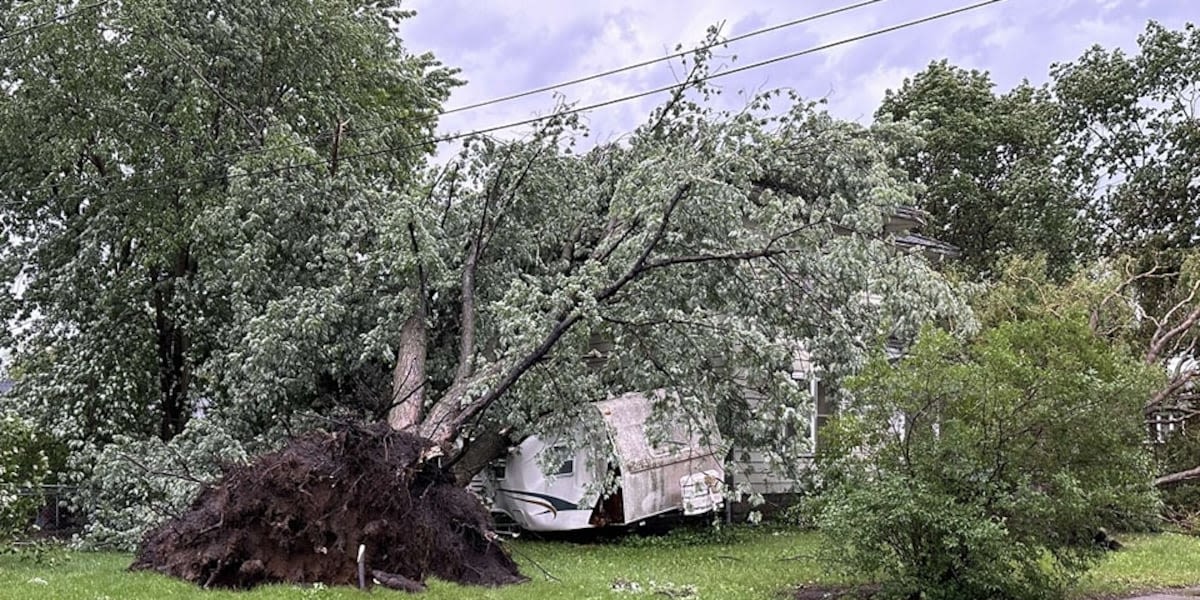 City of Independence to host free tree limb drop-off location