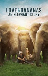 Love & Bananas: An Elephant Story