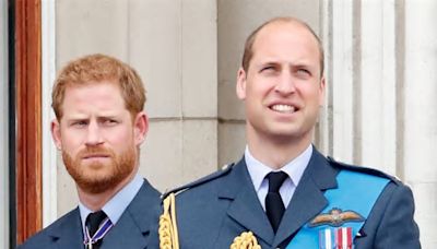 Royal Expert Claims Prince Harry and Prince William Have No Plans to See Each Other During Upcoming UK Trip