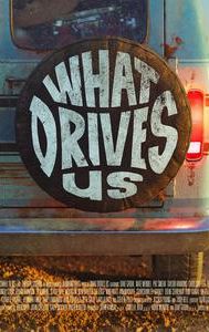 What Drives Us