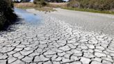 Alarmante informe: Chile es uno de los países más afectados por la escasez de agua