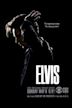 Elvis (miniseries)