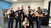 7 puppies taken in by police after being found playing in the road in Cedar Park