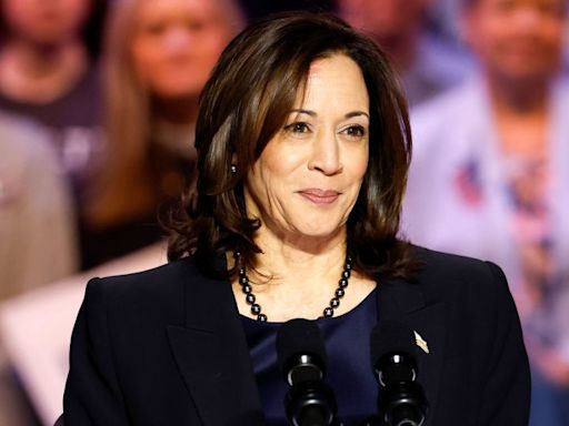 These Democratic voters are relieved and energized by Harris, but she also has her doubters